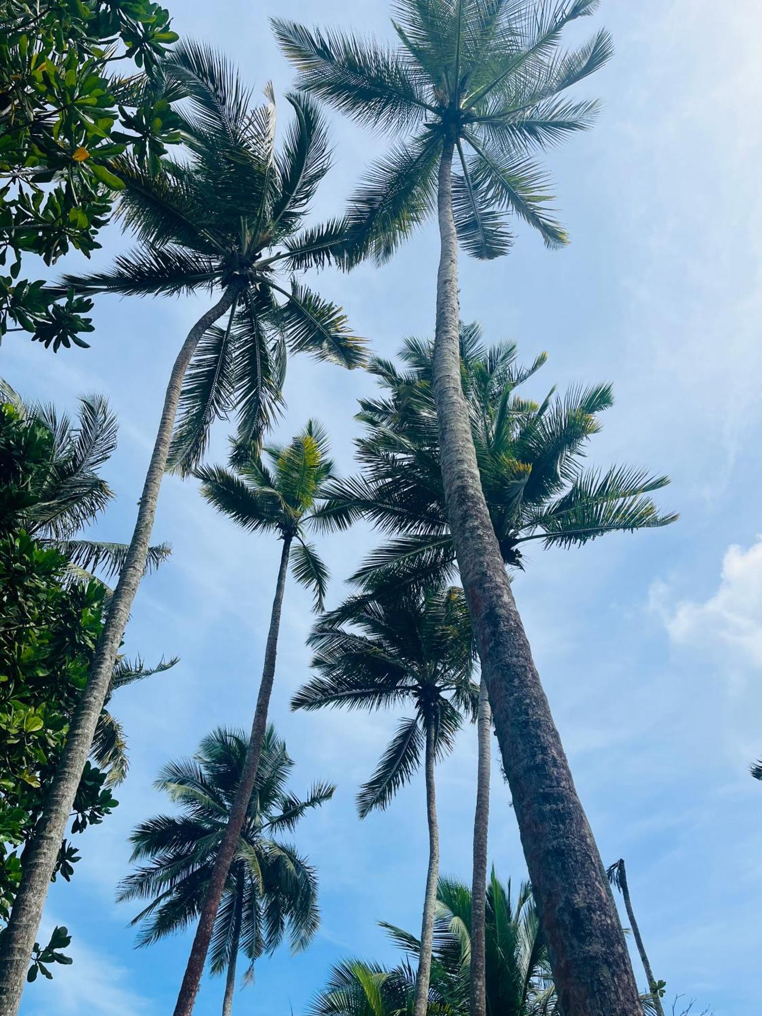 Hotel Esperanza Beach Mawella Tangalle Zewnętrze zdjęcie